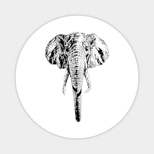 Elephant head Magnet